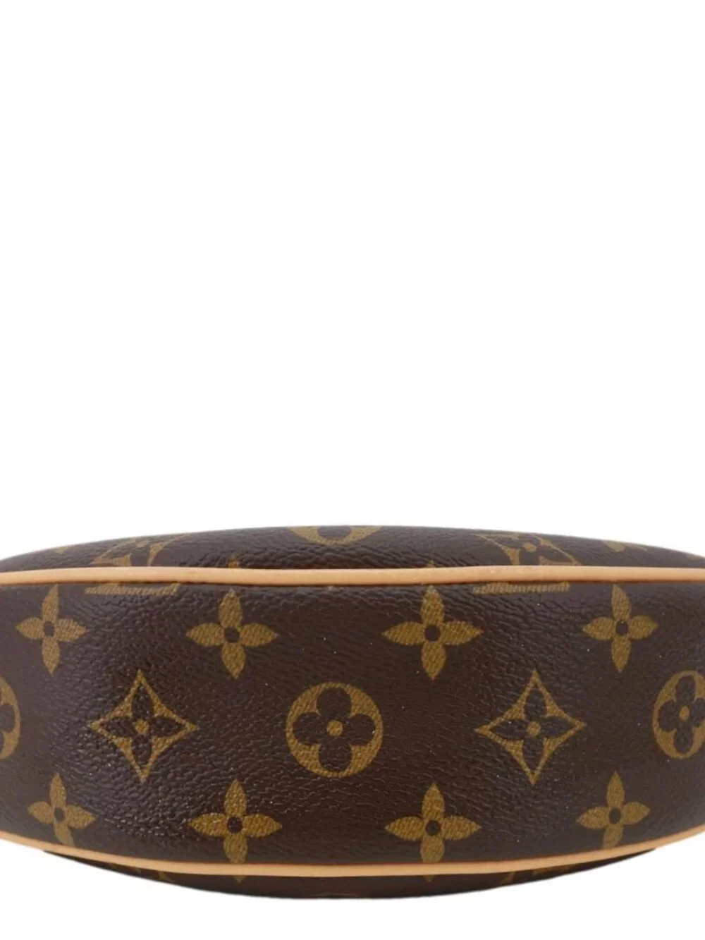 Louis Vuitton  Loop Monogram Reverse Canvas Hobo Bag Brown